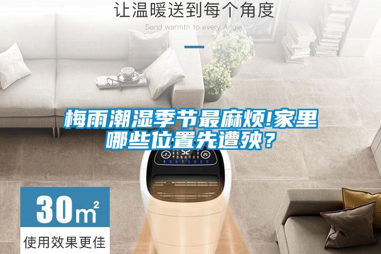 梅雨潮濕季節最麻煩!家里哪些位置先遭殃？