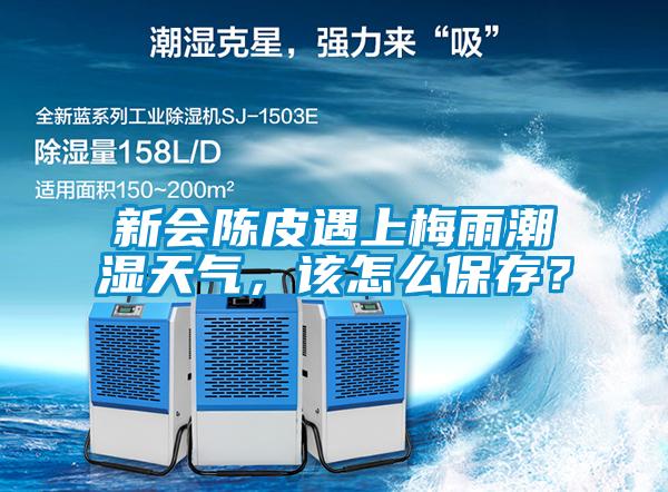 新會陳皮遇上梅雨潮濕天氣，該怎么保存？
