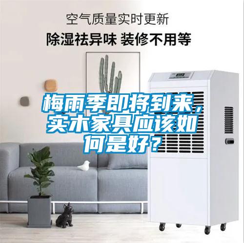 梅雨季即將到來，實木家具應該如何是好？