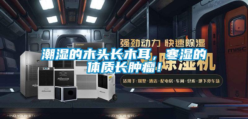 潮濕的木頭長木耳，寒濕的體質長腫瘤！