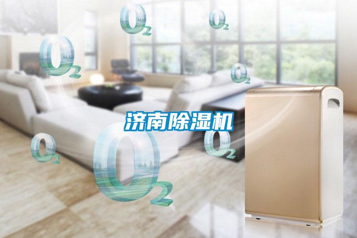 濟(jì)南除濕機