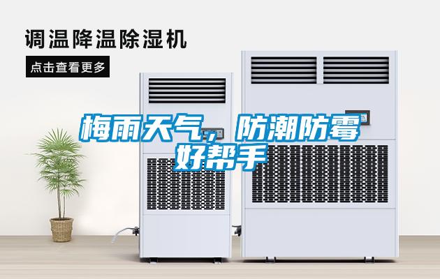梅雨天氣，防潮防霉好幫手