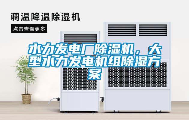 水力發電廠除濕機，大型水力發電機組除濕方案