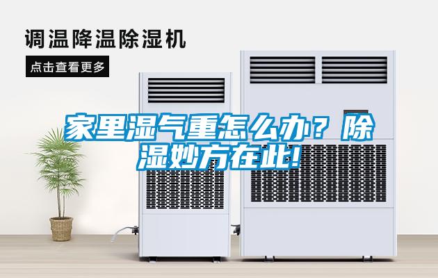家里濕氣重怎么辦？除濕妙方在此!