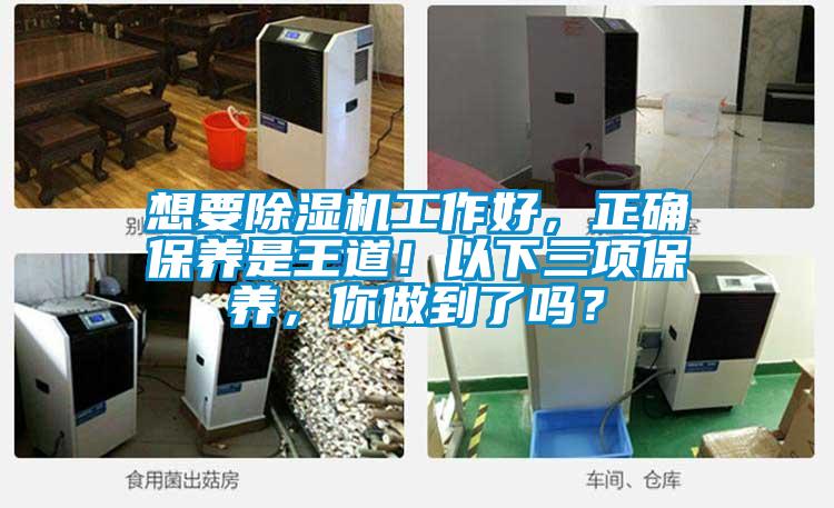 想要除濕機工作好，正確保養(yǎng)是王道！以下三項保養(yǎng)，你做到了嗎？
