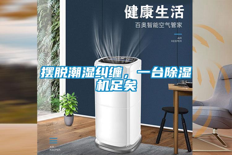 擺脫潮濕糾纏，一臺除濕機足矣