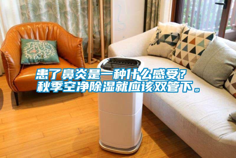 患了鼻炎是一種什么感受？ 秋季空凈除濕就應(yīng)該雙管下。