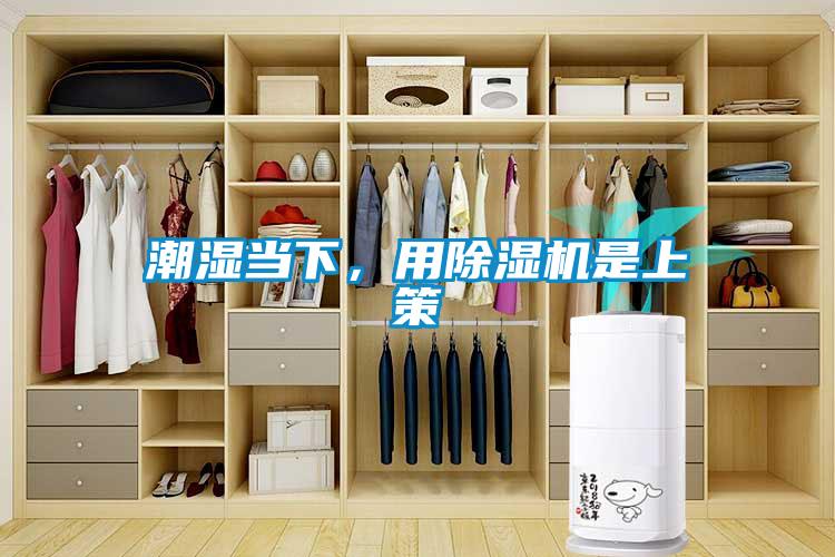 潮濕當下，用除濕機是上策