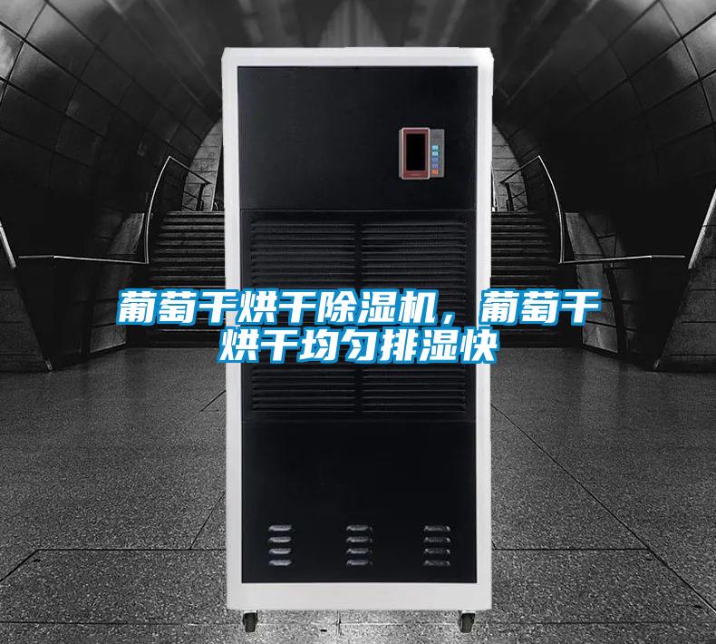 葡萄干烘干除濕機，葡萄干烘干均勻排濕快