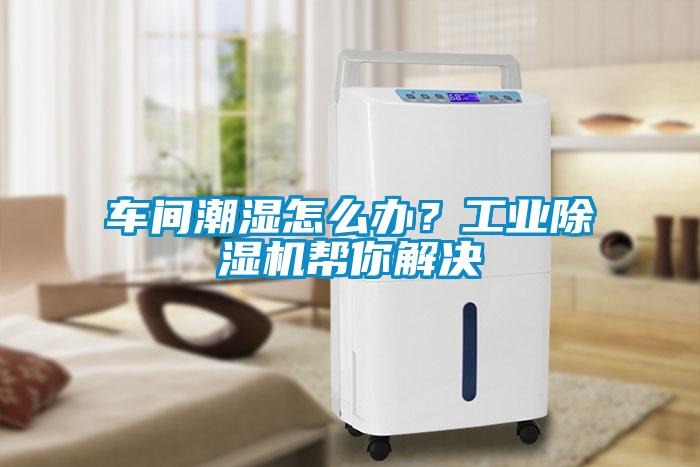 車間潮濕怎么辦？工業(yè)除濕機幫你解決