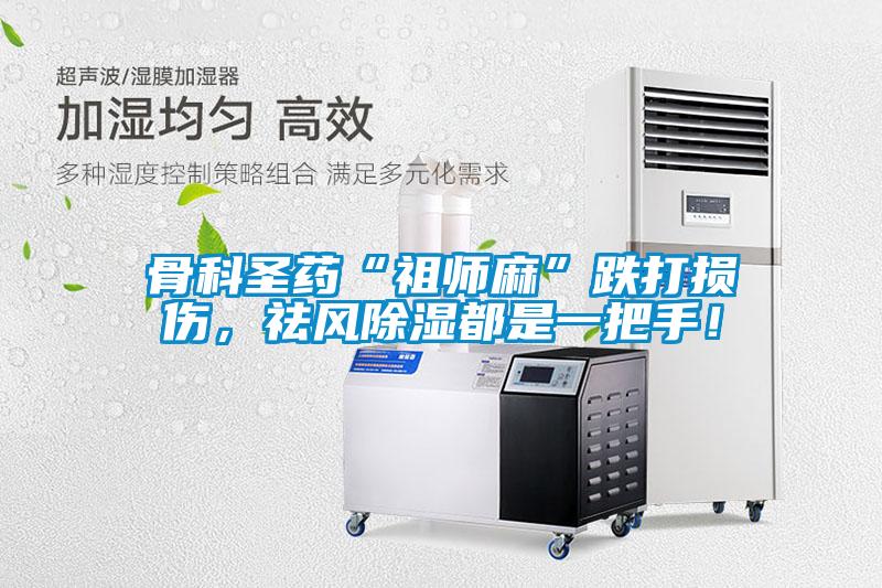骨科圣藥“祖師麻”跌打損傷，祛風除濕都是一把手！