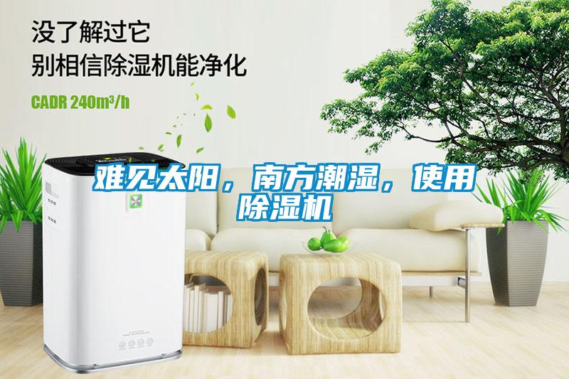 難見太陽，南方潮濕，使用除濕機