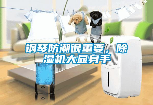 鋼琴防潮很重要，除濕機大顯身手