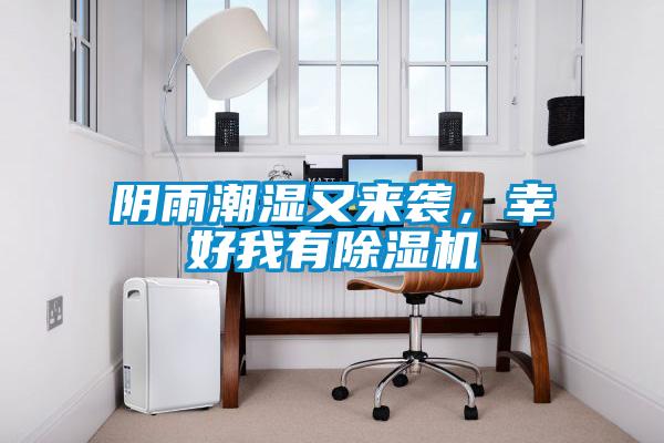 陰雨潮濕又來襲，幸好我有除濕機(jī)