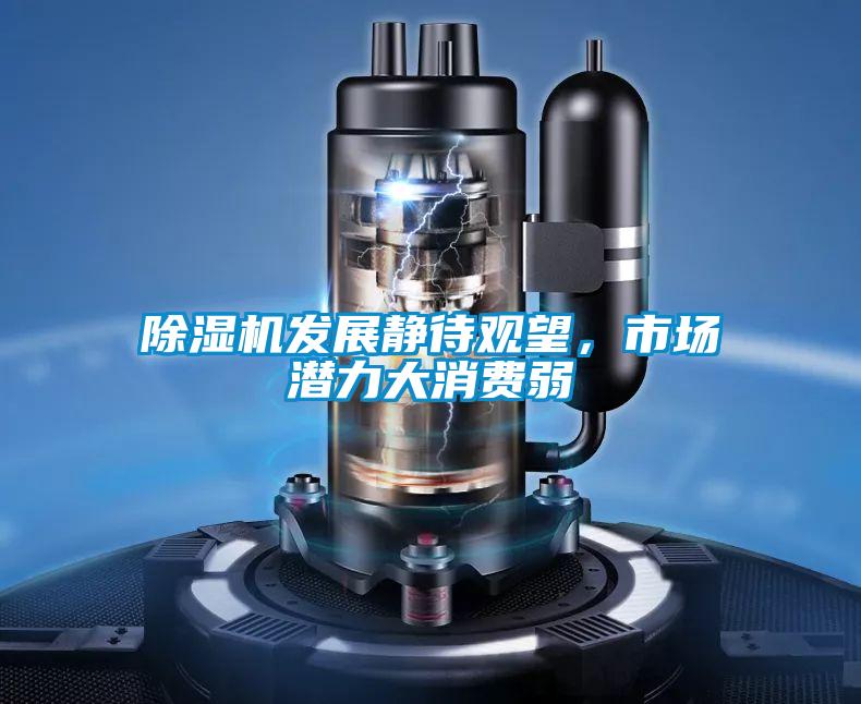 除濕機發(fā)展靜待觀望，市場潛力大消費弱