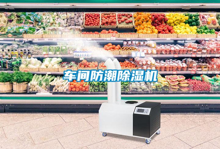 車(chē)間防潮除濕機(jī)