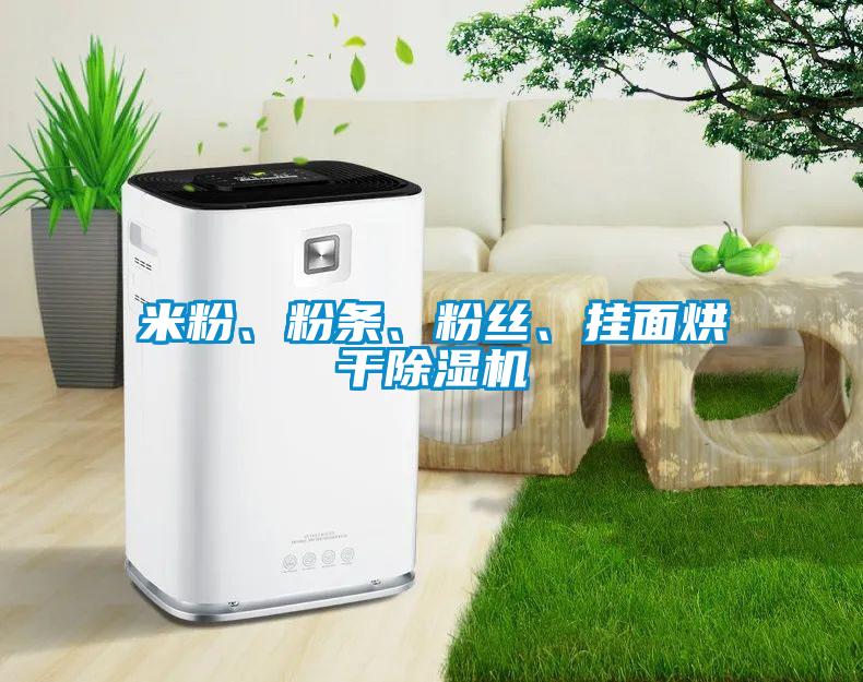米粉、粉條、粉絲、掛面烘干除濕機