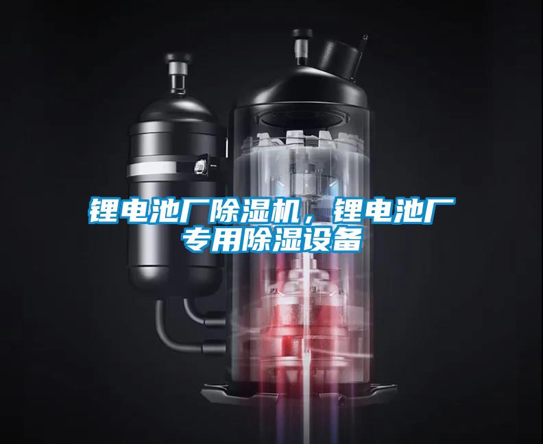 鋰電池廠除濕機(jī)，鋰電池廠專用除濕設(shè)備