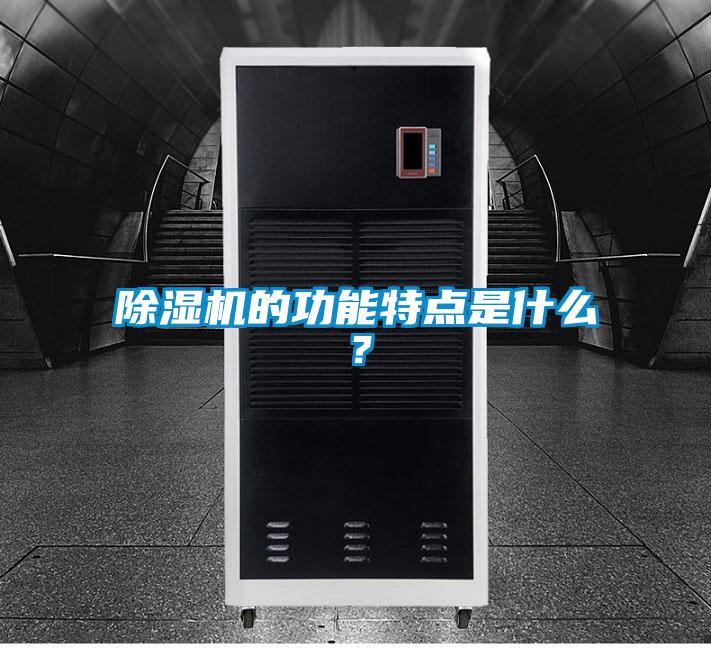 除濕機(jī)的功能特點(diǎn)是什么？