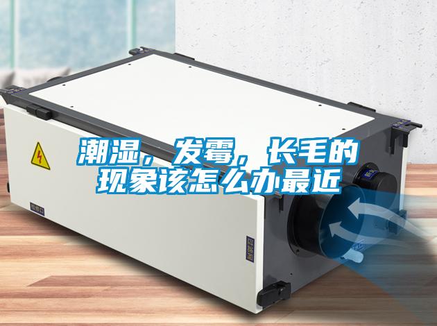 潮濕，發(fā)霉，長毛的現(xiàn)象該怎么辦最近