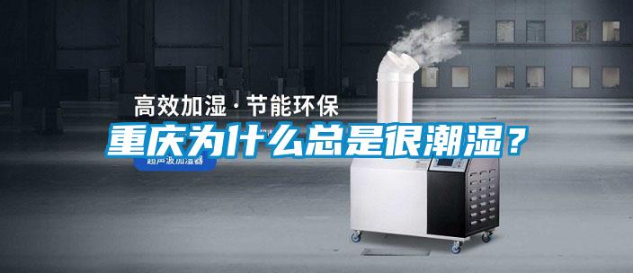 重慶為什么總是很潮濕？