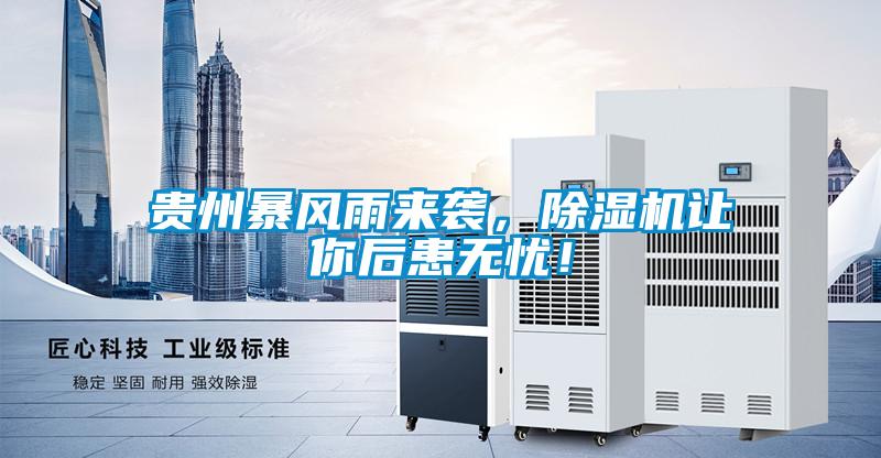 貴州暴風(fēng)雨來(lái)襲，除濕機(jī)讓你后患無(wú)憂！