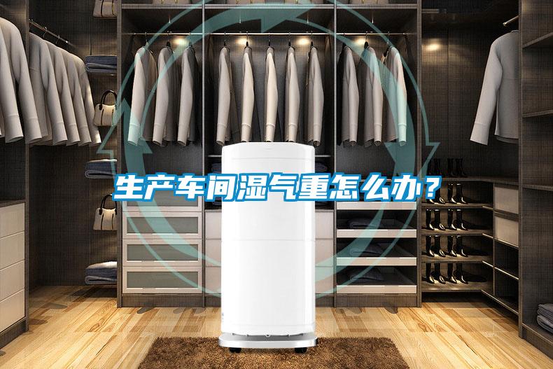 生產車間濕氣重怎么辦？