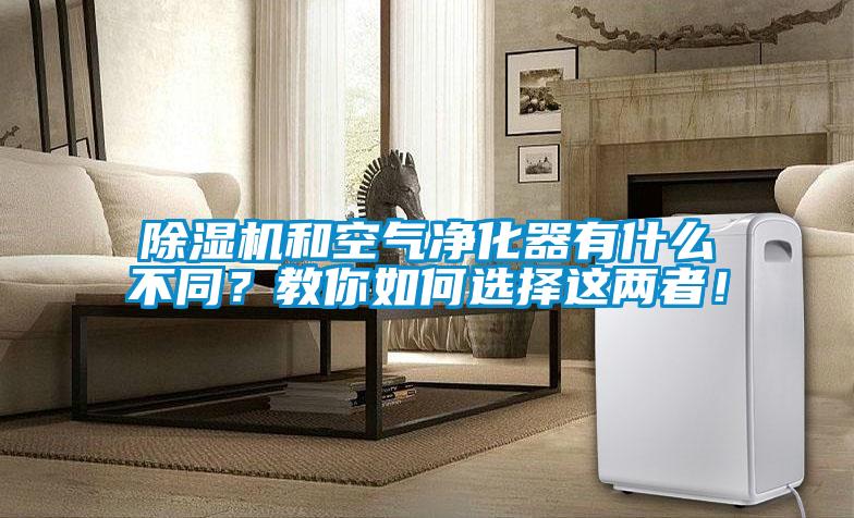 除濕機和空氣凈化器有什么不同？教你如何選擇這兩者！