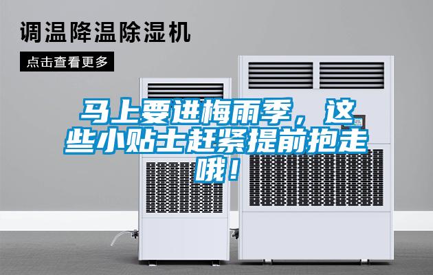 馬上要進梅雨季，這些小貼士趕緊提前抱走哦！