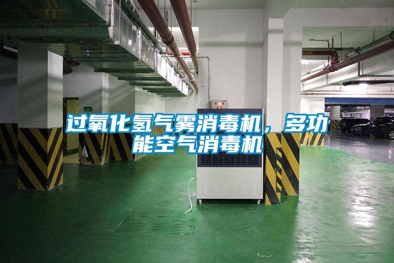 過氧化氫氣霧消毒機(jī)，多功能空氣消毒機(jī)