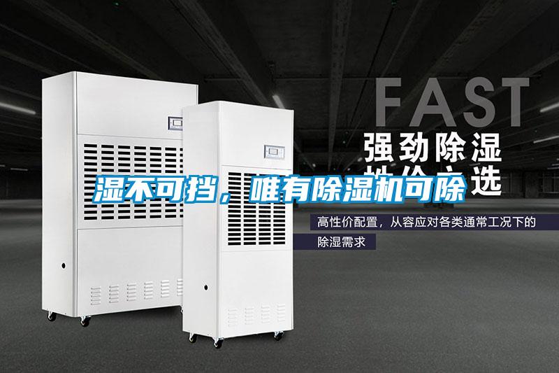 濕不可擋，唯有除濕機可除