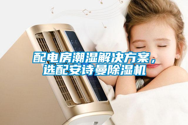 配電房潮濕解決方案，選配安詩曼除濕機