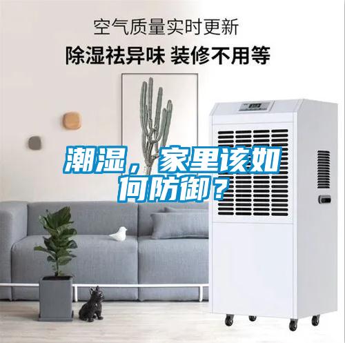 潮濕，家里該如何防御？