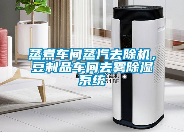 蒸煮車(chē)間蒸汽去除機(jī)，豆制品車(chē)間去霧除濕系統(tǒng)