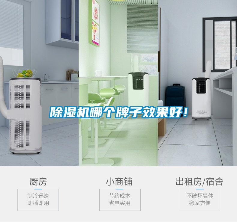 除濕機哪個牌子效果好！