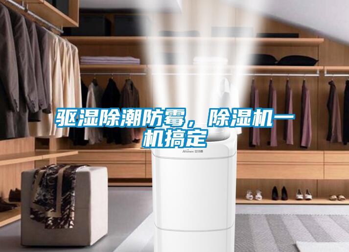 驅(qū)濕除潮防霉，除濕機(jī)一機(jī)搞定