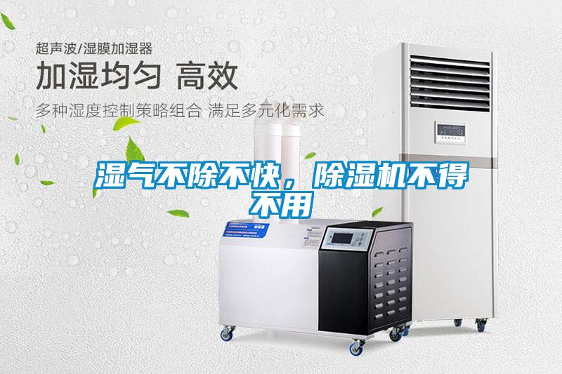 濕氣不除不快，除濕機不得不用