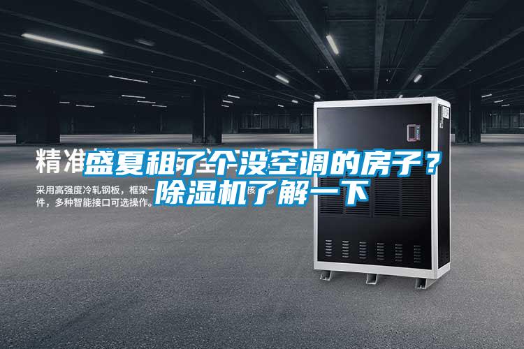 盛夏租了個沒空調(diào)的房子？除濕機了解一下
