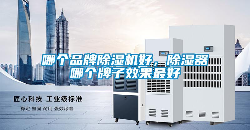 哪個品牌除濕機(jī)好，除濕器哪個牌子效果最好