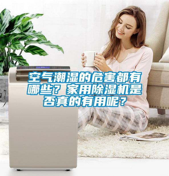 空氣潮濕的危害都有哪些？家用除濕機是否真的有用呢？