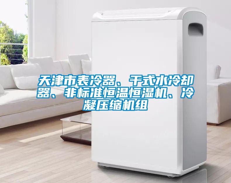 天津市表冷器、干式水冷卻器、非標(biāo)準(zhǔn)恒溫恒濕機、冷凝壓縮機組