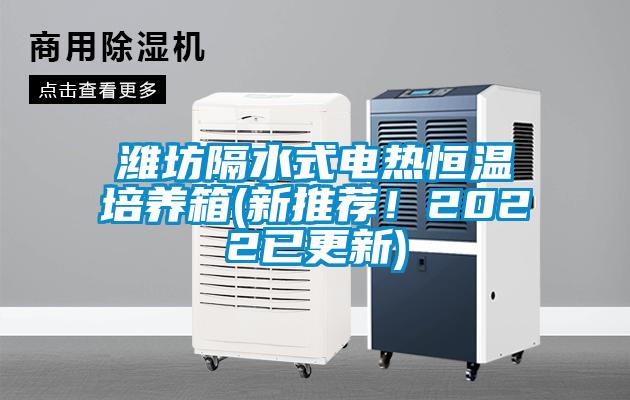 濰坊隔水式電熱恒溫培養箱(新推薦！2022已更新)