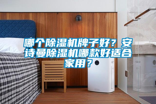 哪個除濕機牌子好？安詩曼除濕機哪款好適合家用？
