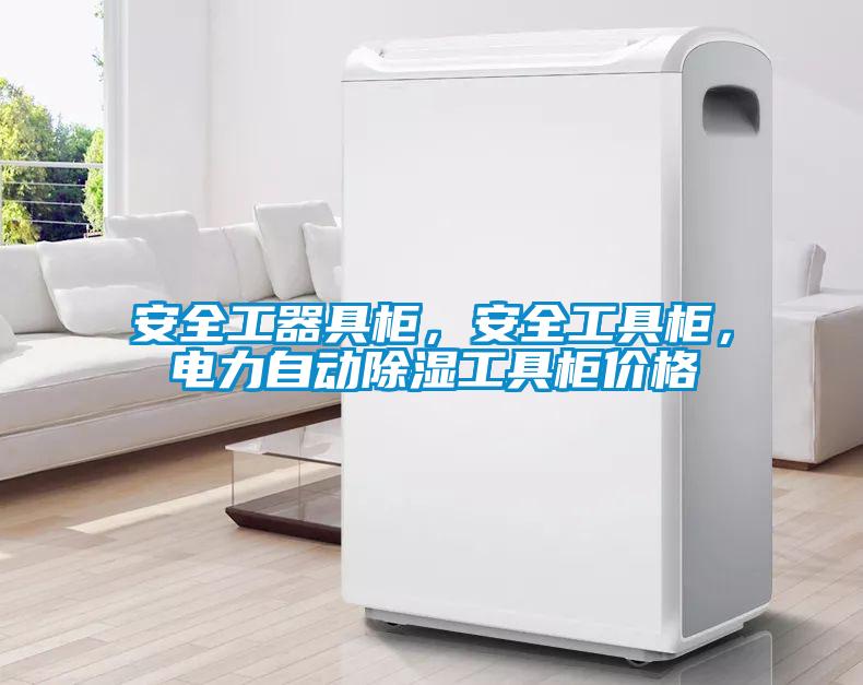 安全工器具柜，安全工具柜，電力自動(dòng)除濕工具柜價(jià)格