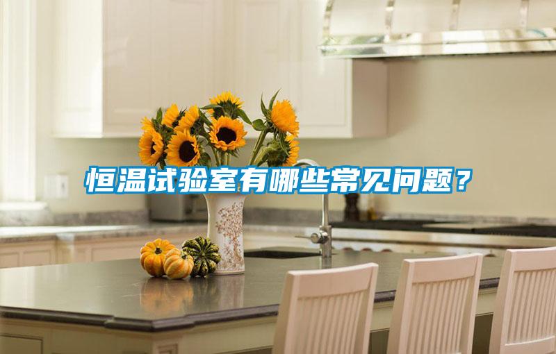 恒溫試驗(yàn)室有哪些常見(jiàn)問(wèn)題？