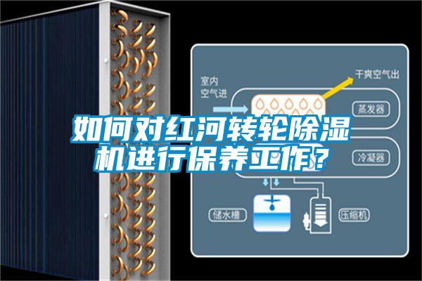如何對紅河轉輪除濕機進行保養工作？
