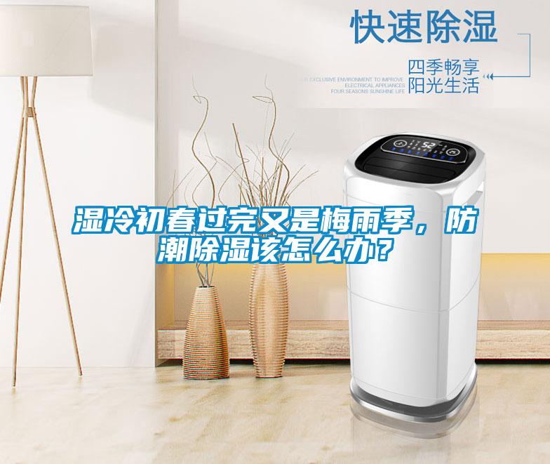 濕冷初春過(guò)完又是梅雨季，防潮除濕該怎么辦？