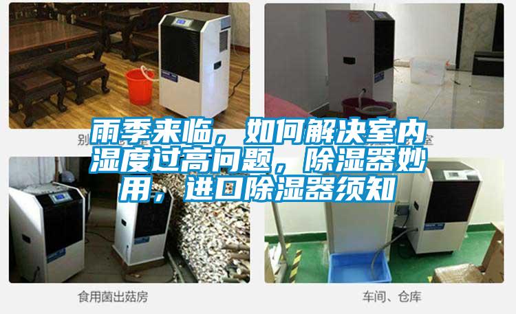 雨季來(lái)臨，如何解決室內(nèi)濕度過(guò)高問(wèn)題，除濕器妙用，進(jìn)口除濕器須知