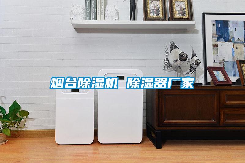 煙臺(tái)除濕機(jī) 除濕器廠(chǎng)家