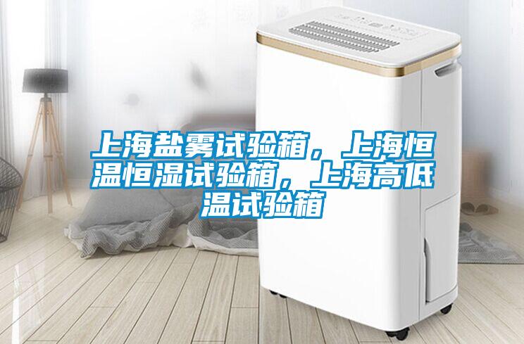 上海鹽霧試驗箱，上海恒溫恒濕試驗箱，上海高低溫試驗箱